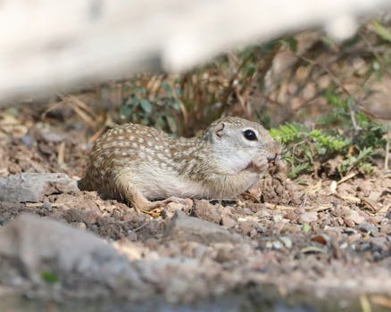 Unlocking the Power of Your Plate: Beyond Just Eating
