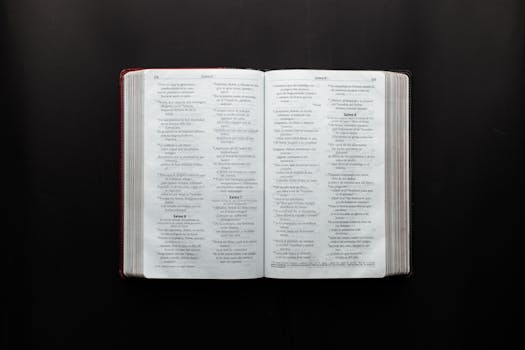 Beyond the Click: Deconstructing the John MacArthur Study Bible PDF Experience