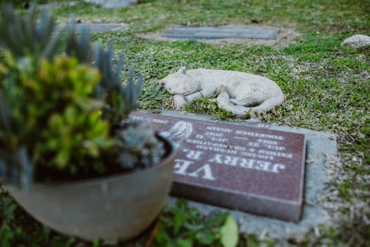 The Definitive End: When Does a Power of Attorney’s Authority Cease After Death?